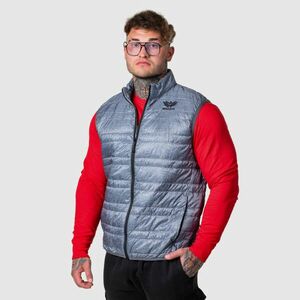 Pánská vesta Iron Aesthetics Bodywarmer, světle šedá obraz