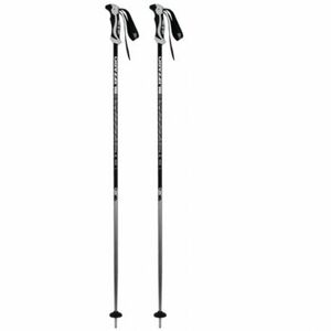 Lyžařské hole BLIZZARD-Allmountain ski poles, silver obraz