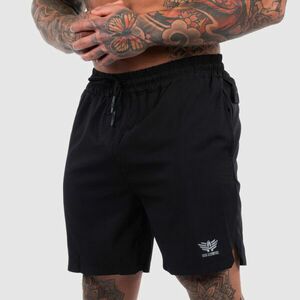 Sportovní šortky Iron Aesthetics Flashlight, černé obraz