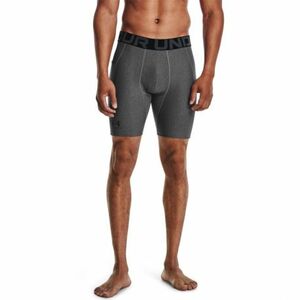 Pánské tréninkové kraťasy UNDER ARMOUR-UA HG Armour Shorts obraz