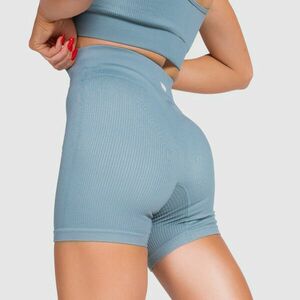 Sportovní šortky Iron Aesthetics Elevate, šedé obraz