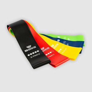 Set posilovacích gum Iron Aesthetics Resistance Band obraz