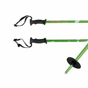 Lyžařské hole SPARTAN Junior obraz