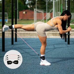 Odporový expandér Iron Aesthetics Ankle Bands, růžový obraz