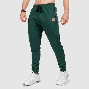 Pánské tepláky Iron Aesthetics Grade, zelené obraz