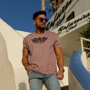 Pánské sportovní tričko Iron Aesthetics Break, starorůžové obraz