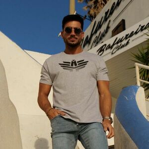 Pánské sportovní tričko Iron Aesthetics Break, šedé obraz