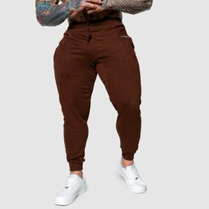 Pánské sportovní tepláky Iron Aesthetics Flexi, hnědé obraz