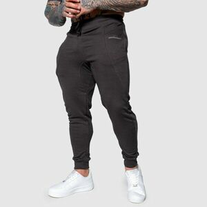 Pánské sportovní tepláky Iron Aesthetics Flexi, tmavě šedé obraz