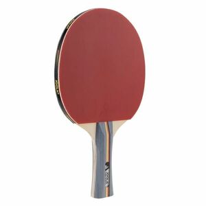 Pálka na stolní tenis JOOLA Team School obraz