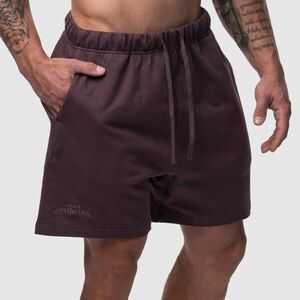 Pánské bavlněné šortky Iron Aesthetics Ambition, fialové obraz