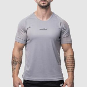 Pánské sportovní tričko Iron Aesthetics Training, šedé obraz