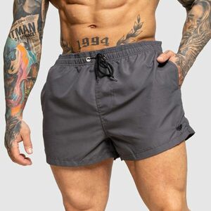 Pánské plavky Iron Aesthetics Beach Mode, šedé obraz