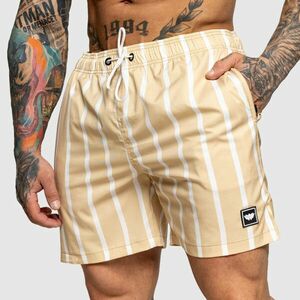 Pánské plavkové šortky Iron Aesthetics Boardwalk, béžové obraz