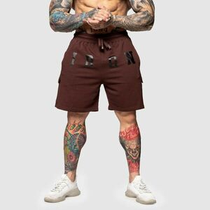 Teplákové kraťasy Iron Aesthetics College, hnědé obraz