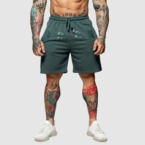 Teplákové kraťasy Iron Aesthetics College, zelené obraz