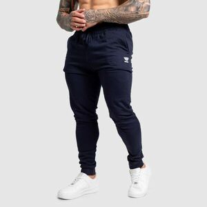 Pánské jogger tepláky Iron Aesthetics Snap, navy obraz