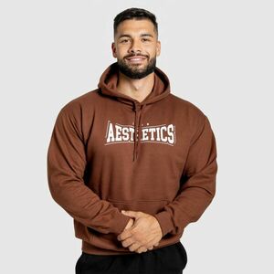 Mikina s kapucí Iron Aesthetics Frontline, cocoa obraz