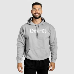 Mikina s kapucí Iron Aesthetics Frontline, šedá obraz