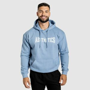 Mikina s kapucí Iron Aesthetics Frontline, modrá obraz