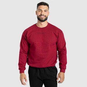 Pánská mikina Iron Aesthetics Unit, červená obraz