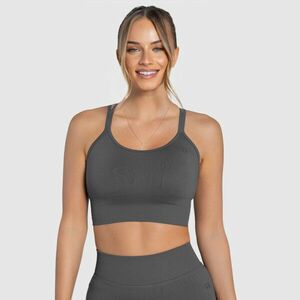 Dámská sportovní podprsenka Iron Aesthetics Ultimate, šedá obraz