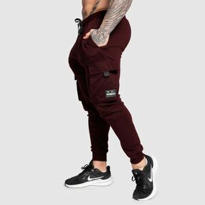 Pánské tepláky Iron Aesthetics Cargo Joggers, bordové obraz