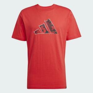 Adidas M Photo LOGO T JJ3934 - XL obraz
