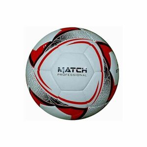 Fotbalový míč SPARTAN Match Professional 5 obraz