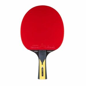 Pálka na stolní tenis JOOLA Carbon Pro obraz