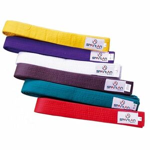 Pásek ke kimonu SPARTAN obraz