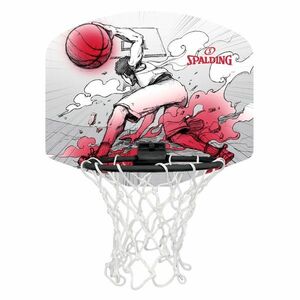Basketbalový koš s deskou SPALDING Sketch MicroMini obraz