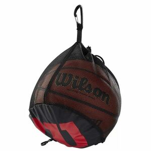 Vak (síťka) na míč WILSON obraz