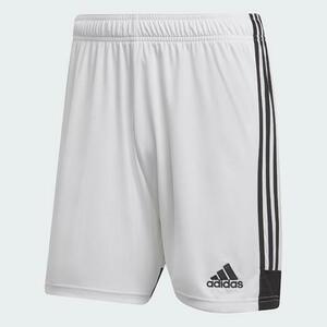 Adidas Tastigo19 SHO DP3247 - L obraz
