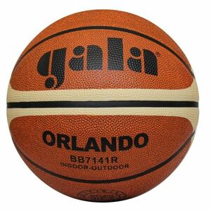 Basketbalový míč GALA Orlando BB7141R obraz