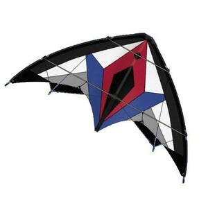 Günther Sportovní řiditelný drak FLE x US 150 G x , 150 x 65 cm obraz