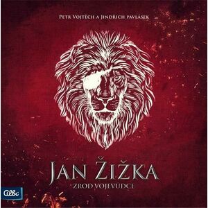 Albi Jan Žižka: Zrod vojevůdce (Medieval) obraz