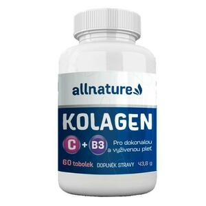 Allnature Kolagen 60 Tobolek obraz