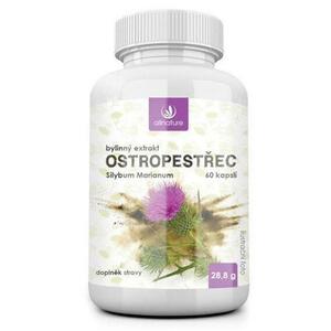 Allnature Ostropestřec 60 kapslí obraz