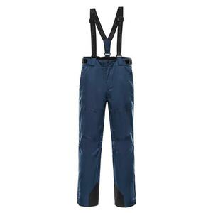 Alpine Pro EDES 2 modré - XXXL obraz