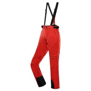 Alpine Pro EDES červené - XXXL obraz