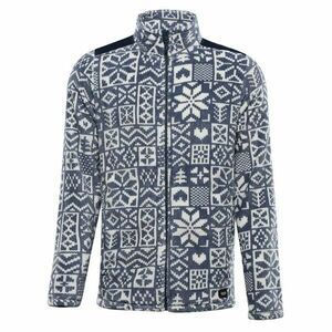 Alpine Pro EFLIN - XXL obraz