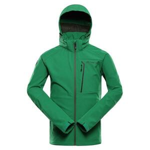Alpine Pro HOOR - XXL obraz