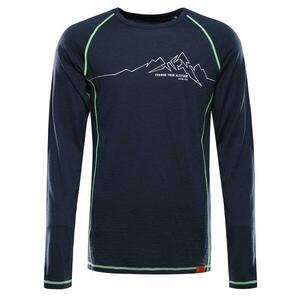 Alpine Pro MEREN - XXXL obraz