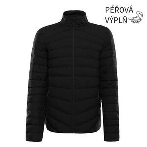 Alpine Pro RETER černá - XXXL obraz