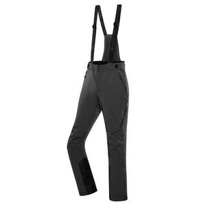 Alpine Pro WERAD - XXXL obraz