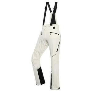 Alpine Pro WERADA - XXL obraz