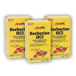 Amix 3x Berberine HCl + GreenTea Dandelion 60 kapslí obraz
