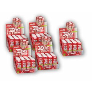 Amix 4x X-Fat 2 in 1 Shot Box 20x60ml + 1x ZDARMA - Fruity obraz