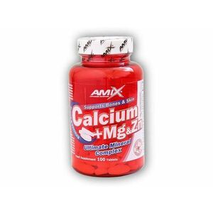 Amix Calcium + Magnesium + Zinek 100 tablet obraz